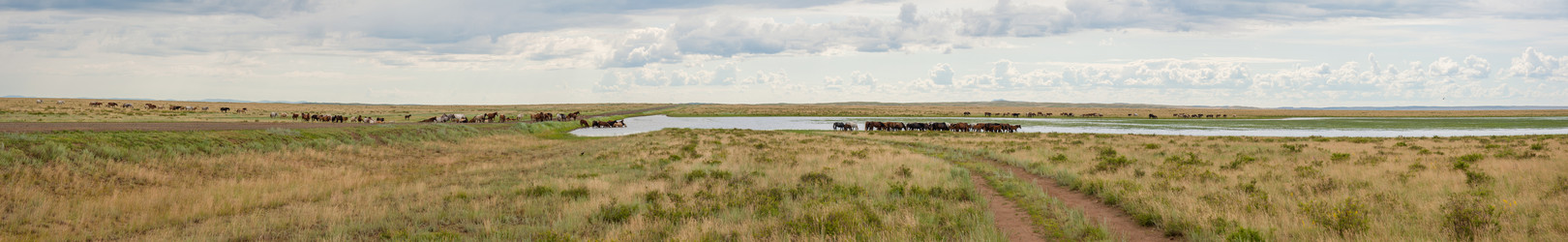 Similar image 20058705