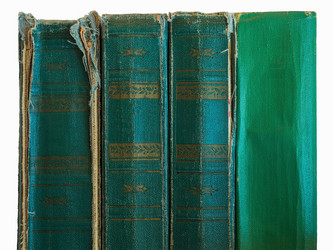 Similar image 19965995