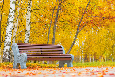 Similar image 19944352