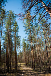 Similar image 20058720