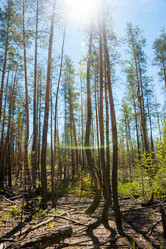 Similar image 20058722