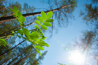 Similar image 20058724