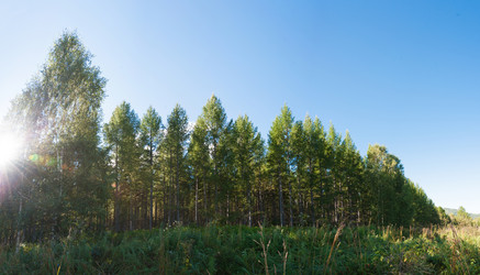 Similar image 20058741