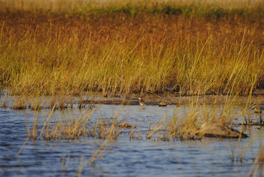 Similar image 20058829