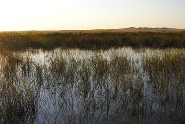 Similar image 20058831