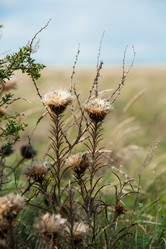 Similar image 20058729