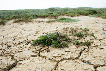 Similar image 20058730