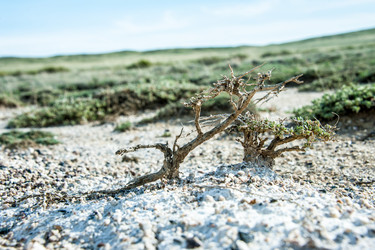 Similar image 20058733