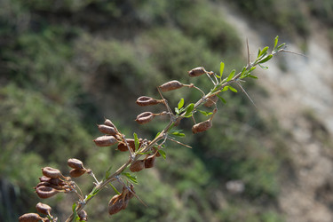 Similar image 20058761