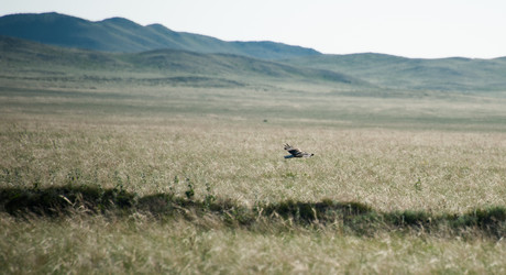 Similar image 20058762