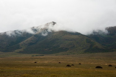 Similar image 20058797