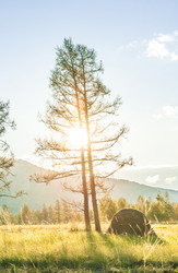 Similar image 20058799