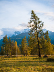 Similar image 20058801