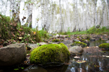 Similar image 20058872