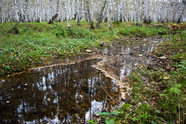 Similar image 20058933