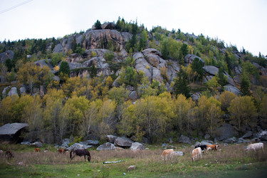 Similar image 20058834