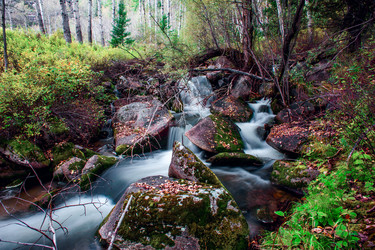 Similar image 20058835