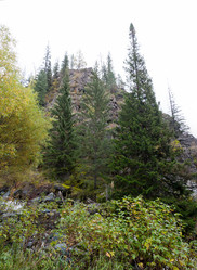 Similar image 20058836