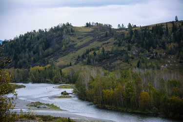 Similar image 20058845