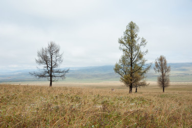 Similar image 20058692