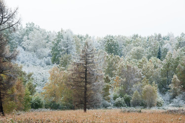 Similar image 20058708