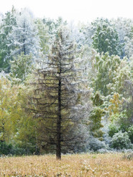 Similar image 20058709