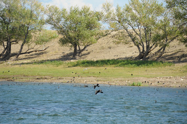 Similar image 20058763