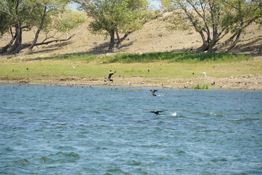 Similar image 20058764