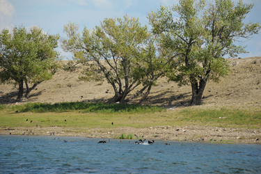 Similar image 20058765