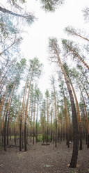 Similar image 20058779