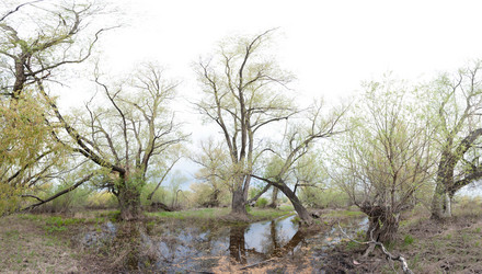 Similar image 20058804