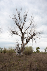 Similar image 20058805