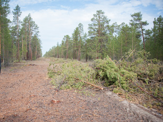 Similar image 20058806