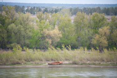 Similar image 20058809