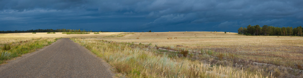 Similar image 20058816