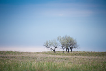 Similar image 20058819