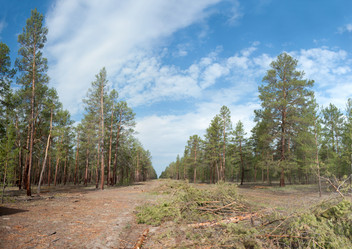 Similar image 20058955