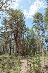 Similar image 20058965