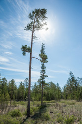 Similar image 20058978