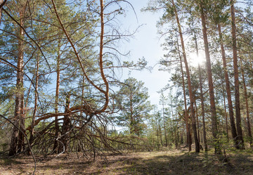 Similar image 20058991