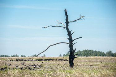 Similar image 20058894