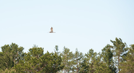 Similar image 20058695