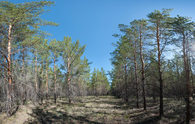 Similar image 20058696