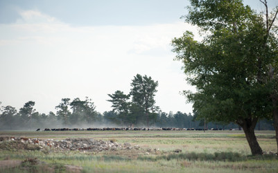 Similar image 20058711