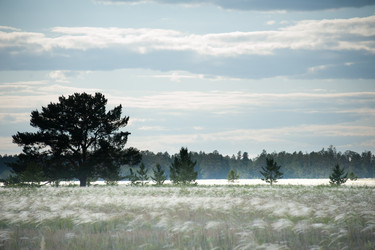 Similar image 20058713