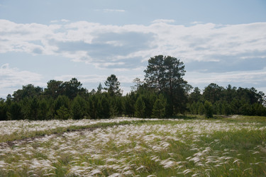 Similar image 20058714