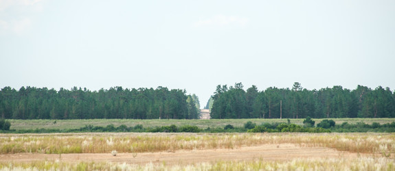 Similar image 20058721