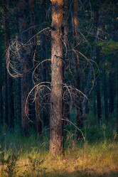 Similar image 20058725