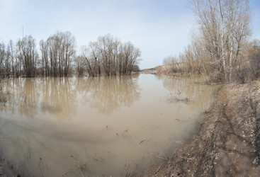 Similar image 20058743