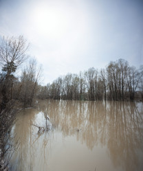 Similar image 20058744